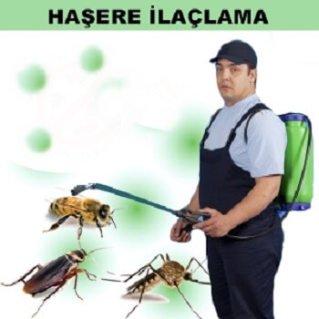 Alucra Böcek İlaçlama